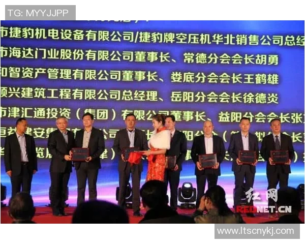 代怀博的崛起与发展探讨：从初创到行业领军的成功之路